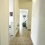 Rent 3 bedroom apartment of 60 m² in Pisa