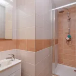 Rent 1 bedroom apartment in Prague