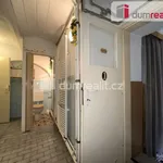 Rent 1 bedroom house of 100 m² in Valtice