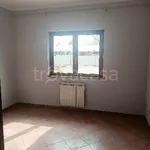 Rent 2 bedroom apartment of 48 m² in Roma