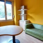 Rent 2 bedroom apartment of 45 m² in Turin