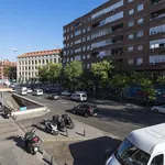 Rent a room of 85 m² in Madrid