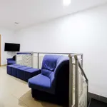 Rent 1 bedroom apartment in madrid