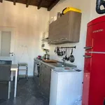 Rent 2 bedroom apartment of 40 m² in Turin