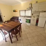 Rent 3 bedroom apartment of 60 m² in Roma