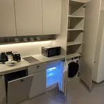 Rent 1 bedroom apartment of 30 m² in Prague