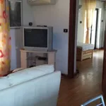 Rent 3 bedroom apartment of 65 m² in Frosinone