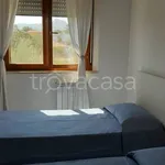 Rent 3 bedroom apartment of 80 m² in Sabaudia