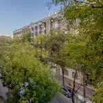 Rent a room of 150 m² in madrid