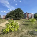 Rent 2 bedroom apartment in Uherské Hradiště