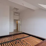 Rent 3 bedroom apartment of 100 m² in Prague