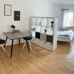 Rent 1 bedroom apartment of 23 m² in Würzburg