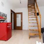 Rent 1 bedroom apartment of 40 m² in Dortmund