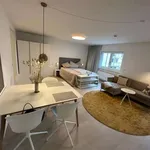 Rent 1 bedroom apartment of 42 m² in munich