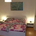 Rent 2 bedroom apartment of 50 m² in Nürnberg