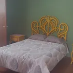 Rent 1 bedroom apartment of 20 m² in Puebla