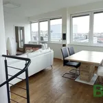 Rent 3 bedroom apartment of 94 m² in Brno