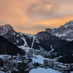 Rent 3 bedroom apartment of 70 m² in Santa Cristina Valgardena