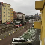 Pronajměte si 1 ložnic/e byt o rozloze 43 m² v Brno