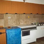 Rent 3 bedroom apartment of 60 m² in Cetraro