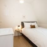 Rent 1 bedroom apartment of 33 m² in Nijmegen