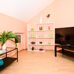 Rent 2 bedroom apartment of 55 m² in Bonn