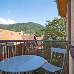 Rent 1 bedroom apartment of 62 m² in Heidelberg