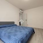 1-bedroom flat via G Cesare 26, Due Ponti, Carpi