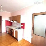 Rent 1 bedroom apartment in Trutnov