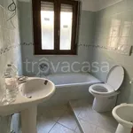 Rent 3 bedroom apartment of 74 m² in Olevano Romano