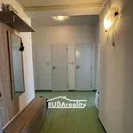 Rent 3 bedroom apartment of 56 m² in Zlín