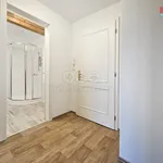 Rent 1 bedroom apartment of 37 m² in Studeněves