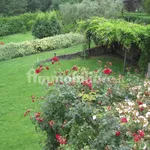 Rent 4 bedroom house of 130 m² in Pistoia