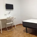 Rent 4 bedroom apartment in Cordoba