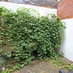 Rent 2 bedroom house in Leuven