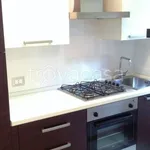 Rent 1 bedroom apartment of 40 m² in Varese