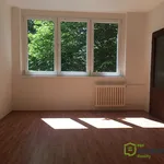 Rent 1 bedroom apartment of 23 m² in Ostrava