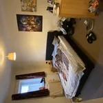 Rent 4 bedroom house in Worcester