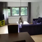 Rent 2 bedroom apartment of 100 m² in Arnhem