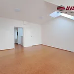 Rent 2 bedroom apartment of 50 m² in Opava