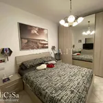 Rent 3 bedroom apartment of 80 m² in Pisa