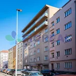 Pronajměte si 1 ložnic/e byt o rozloze 71 m² v Prague