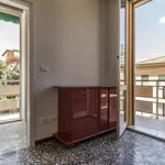 Rent a room in bologna