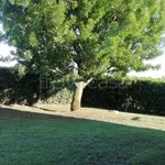 Rent 3 bedroom house of 110 m² in Montalto di Castro