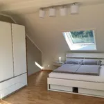 Rent 3 bedroom apartment of 75 m² in Ilmenau