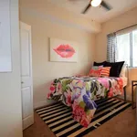 Rent 1 bedroom apartment in Boca Raton