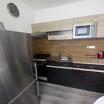 Rent 1 bedroom apartment of 34 m² in Brno