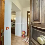 3-room flat good condition, ground floor, Pietrasanta