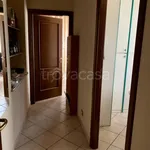 Rent 3 bedroom apartment of 65 m² in Torino