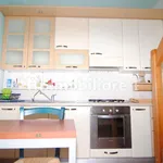 Rent 3 bedroom apartment of 60 m² in Livorno